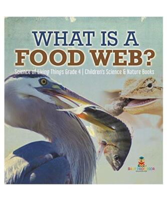 What is a Food Web? | Science of Living Things Grade 4 | Children's Science & Na
