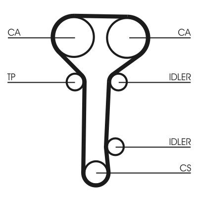 Continental Ctam Wasserpumpe + Zahnriemensatz CT978WP2 FüR Ford-image
