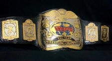 Tag Team Wrestling Championship Replica Belt Adult Size 6mm Zinc Dual Plated