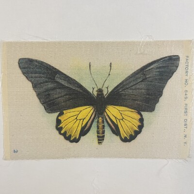 tobacco leaf eating caterpillar Biology of the tobacco moth and its control in closed storage. Tobacco  moth; Tobacco moth Control; Tobacco Storage Diseases and injuries. BIOLOGY  OF TOBACCO MOTH AND ITS CONTROL 9 sumed (fig