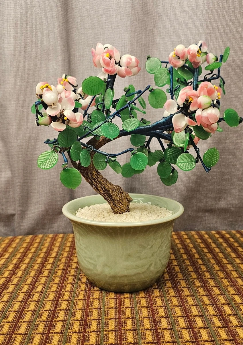 玉树| eBay