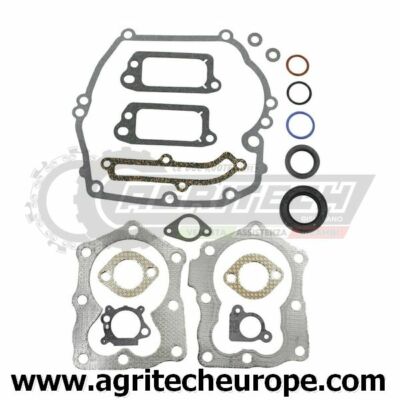497316 794307 590508 Sr Dichtungen Briggs & Stratton Quantum Power 12H800 XT