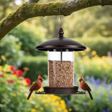 Durable Weatherproof Bird Feeder with 3.0LB Capacity - Attracts Cardinals  More