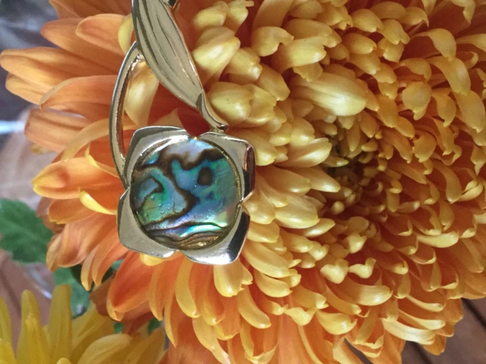 Modeschmuck Brosche mit Perlmutt ABALONE Muschel (Haliotis)  goldfarben 11g Neu! - Bild 2 von 4