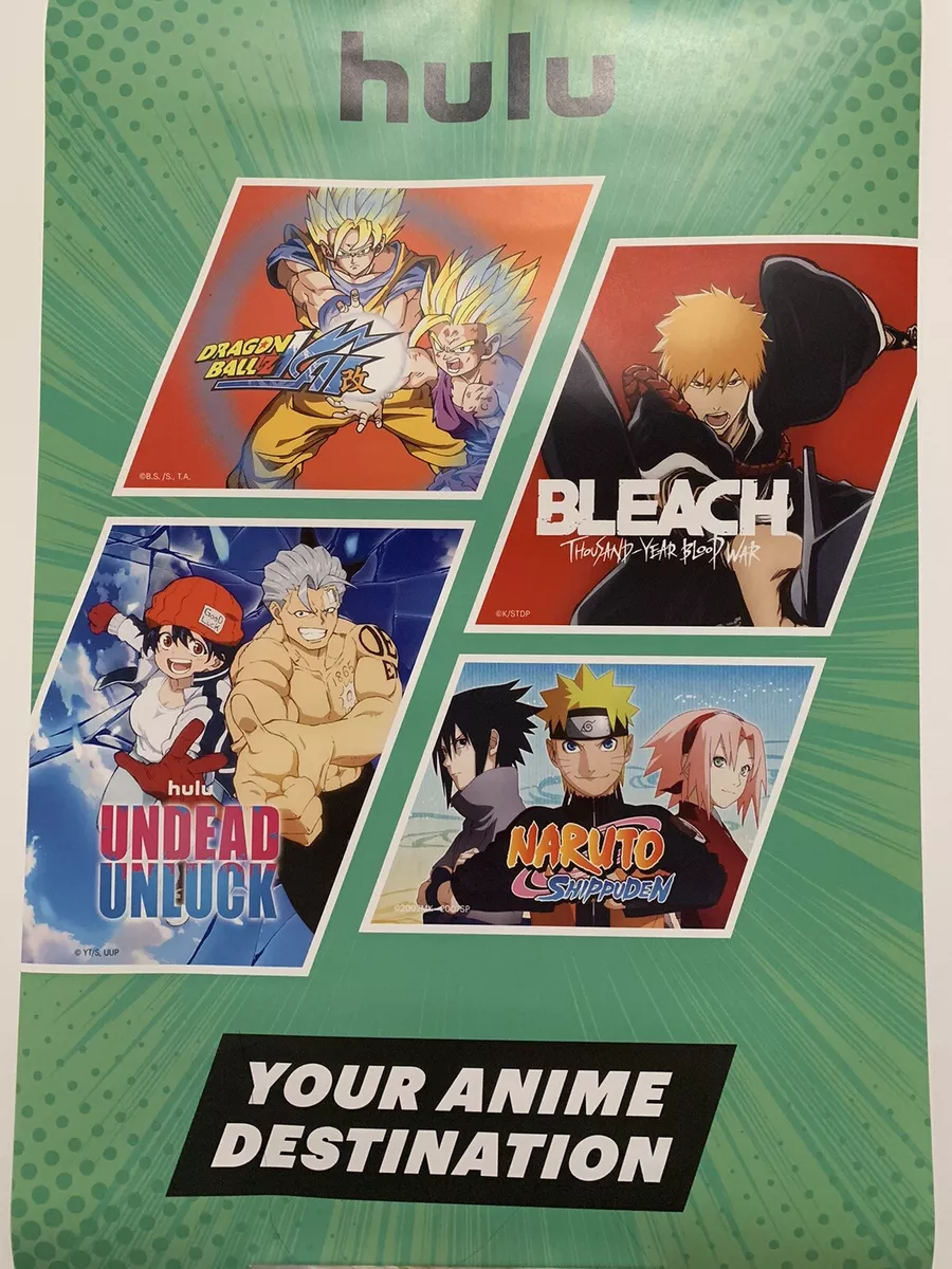 One Piece & Bleach Officially Coming On CARTOON NETWORK After DBZ