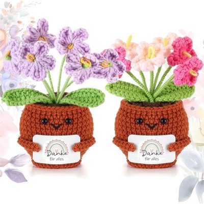 Geschenk Set Häkel Blumentopf Puppen Mini Dankbarkeit Geburtstag Abschied Kol...