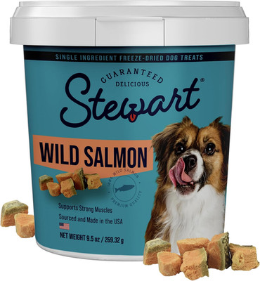 100% Wild Salmon Dog Treats, 9.5 Oz Tub, ~190 Pieces, Freeze Dried Raw, Single I