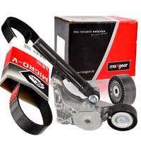 Gates 6PK1660 Keilrippenriemen-Satz + Spanner FüR A3 Octavia Golf VW Audi Seat