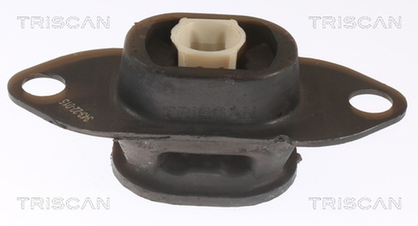 Motorlager Triscan 8505 25116 FüR Renault Clio 4 Captur 1 Kangoo FW0 2 KW0 3 Tce-image