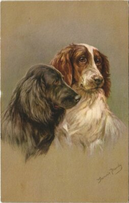 CPA AK Spaniels DOGS (728257)
