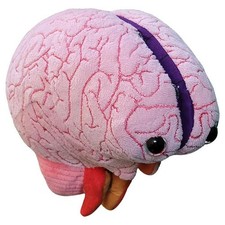 Giant Microbes Brain Model Educational Plush Toy