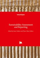 Soner Gokten (U. A.) | Sustainability Assessment And Reporting | Buch | Englisch