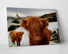 HIGHLAND COWS Brown Canvas Art Print Wall Art Animal Decor Photo Picture -D124