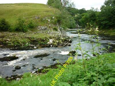Foto 6x4 Lupennarbe Burnsall aufgenommen auf dem Abschnitt des Dales Way zwischen c2015