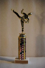 11" Karate Male or Female Trophy - Free Engraving