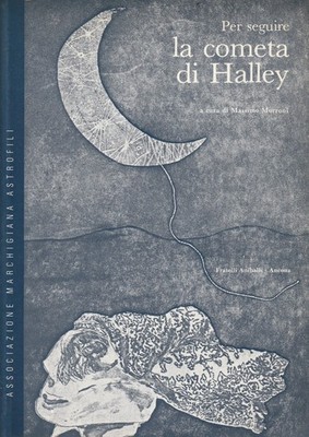 Dem Halleyschen Kometen folgen