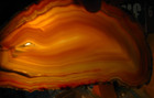 5.9oz AGATE SLICE 7.3inx4.3inx .15in 169g BRAZIL TANS/BROWN FLUORESCENT #177 — photo 3