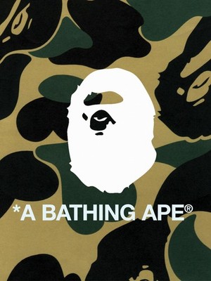 A Bathing Ape, Nigo,Akio, Iida,Luna, Ian, Acceptable Book
