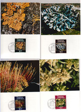 7704 - Liechtenstein - Maximumkarten-Set Nr. 25 (Mi-Nr. 776 - 779)