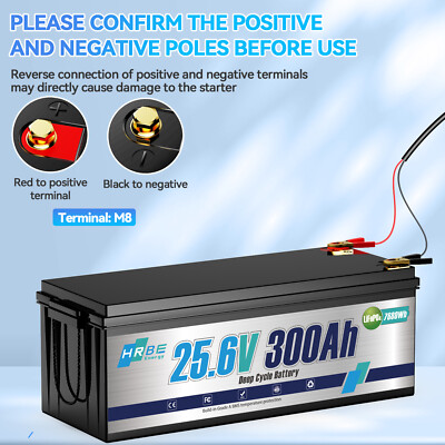 24V 300Ah LiFePO4 Lithium Battery 7.68Kw BMS 20000+Cycle RV Solar Off Grid Boat