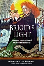 Judika Illes - Brigid'S Light   Tending the Ancestral Flame of the - H245z