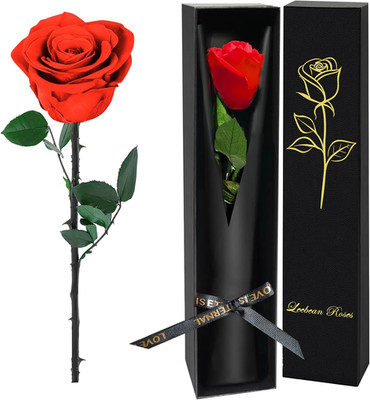 Single Forever Roses Luxury Gift for Women/Men, Fresh Flowers Bouquet for Girlfr