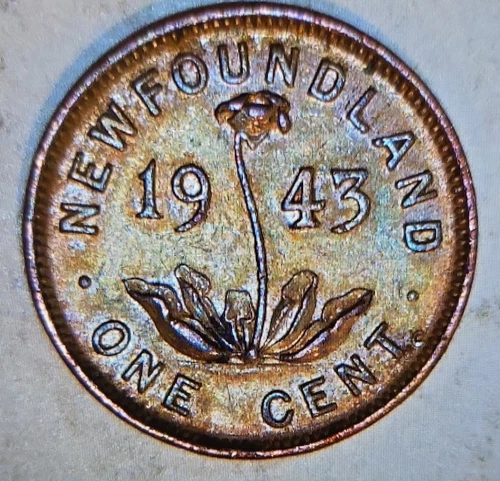 Toned 1943-C Newfoundland Cent. Choice AU with rare neon blue monster toning.