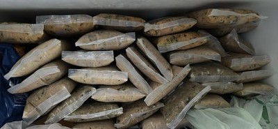 Dog Food (small Portions Only For Small Dogs)