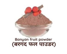 Banyan Fruit Powder Aalam Pazham Powder Bargad phal Powder Ficus Benghalensis-FS
