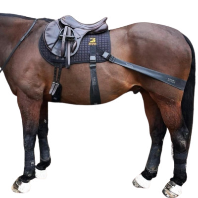 Equine Band System Pro (Jump) Core Conditioning Trainingshilfe von Equine Balance