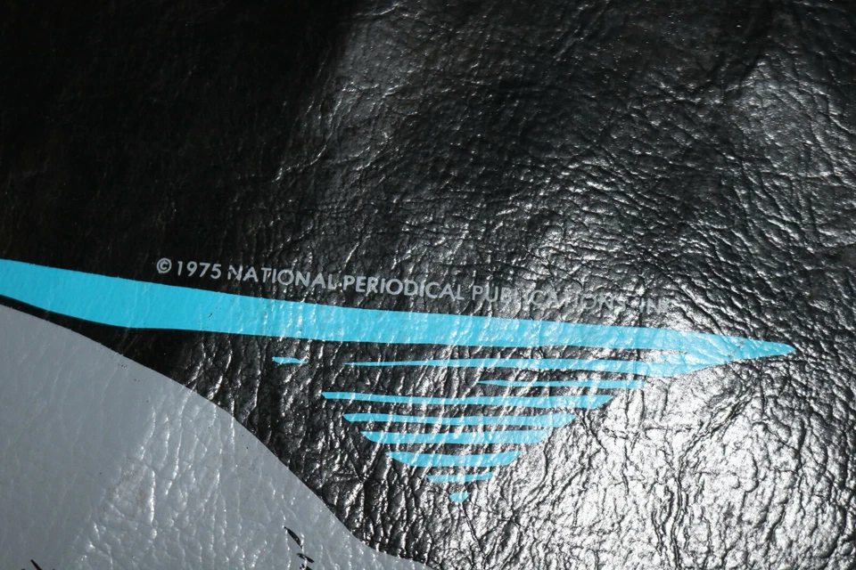 Batman Vintage Sitzsack Stuhl Front Print Panel nur 1975 - Bild 3 von 4