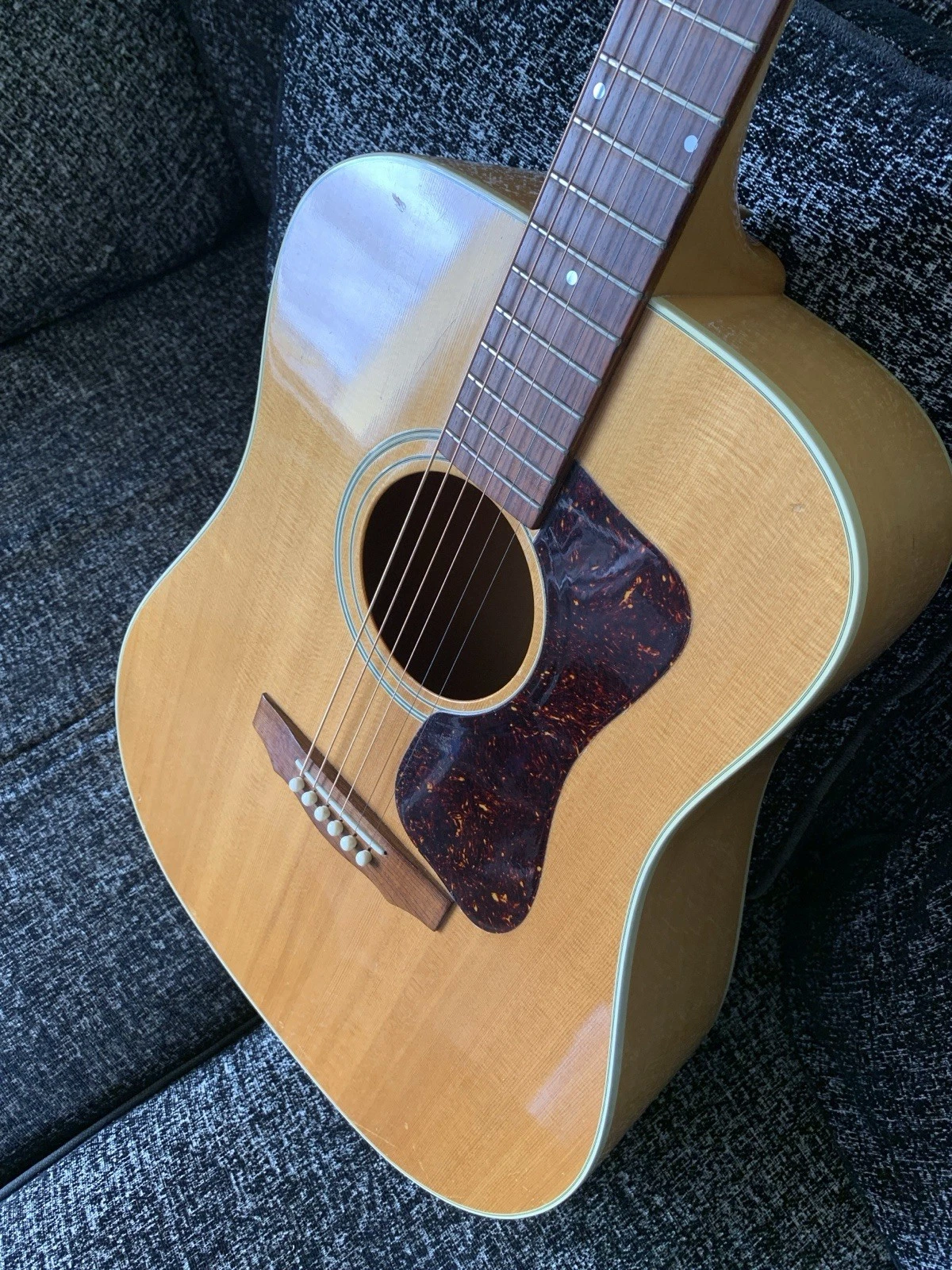 Picture 5 of 19