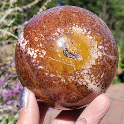 Ocean Jasper Old Stock Red w/ RARE Orbicular Pattern Crystal Sphere 768 Grams