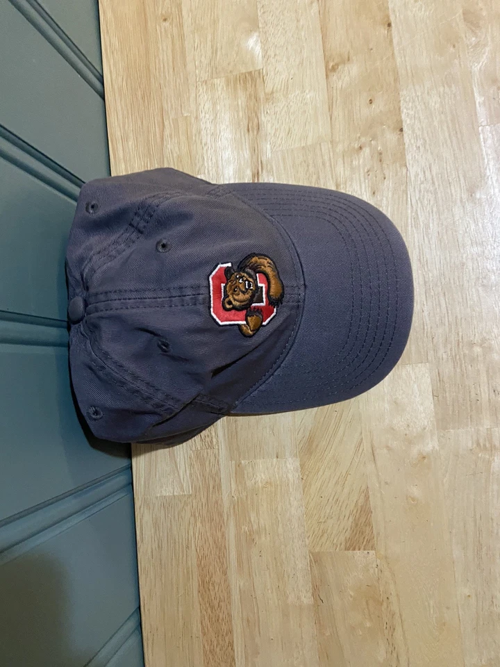 Cornell University Big Red Bear Hat Gray Adjustable  Dad Baseball Cap Ivy Strap - Image 4 of 4