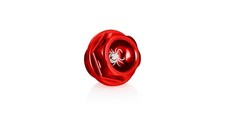 TAPPO OLIO 20X2,5 PARAXITE DUCATI Panigale V2 955	01/20 