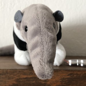 ants beanie baby 1998