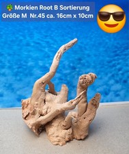 🪸 SALE Moorkienwurzel Root B-Sortierung Größe M  Aquarium Wurzel Hardscape