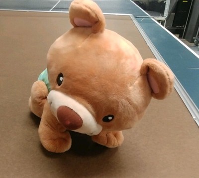 vtech crawl along bear