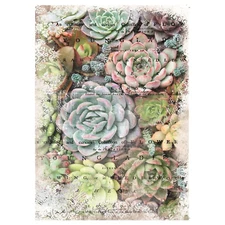 Re-Design with Prima Tissue Paper - Zuri