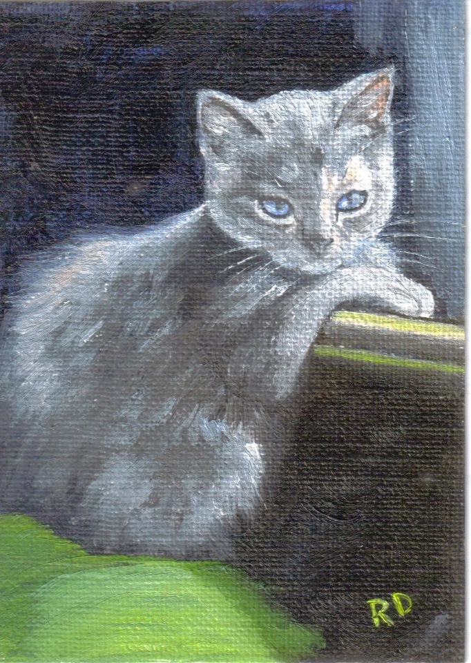 ACEO Print of original oil painting "Daydreaming by the Window" cat kitten