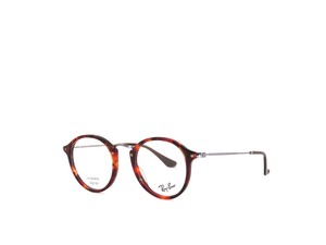ray ban 2447v