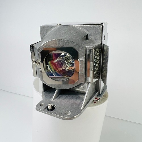 5J.J7L05.001 Replacement Lamp W/Housing For BenQ W1070,W1080ST,W1080ST ,W1250