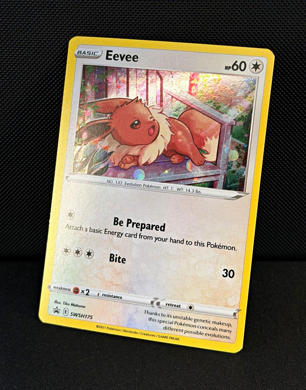Pokemon TCG Eevee SWSH175 Sword Shield Black Star Promo Holo English 2021 NM
