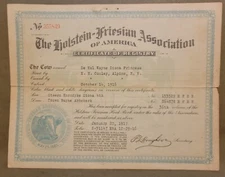 HOLSTEIN-FRIESIAN 1916 Cow Breeding Certificate of Registry ALPINE NY