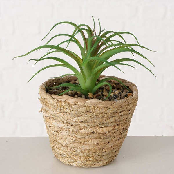 Deko Zimmerpflanze Bromelie KÜNstliche Pflanze Im Seegrastopf H: 20 Cm Neu-image