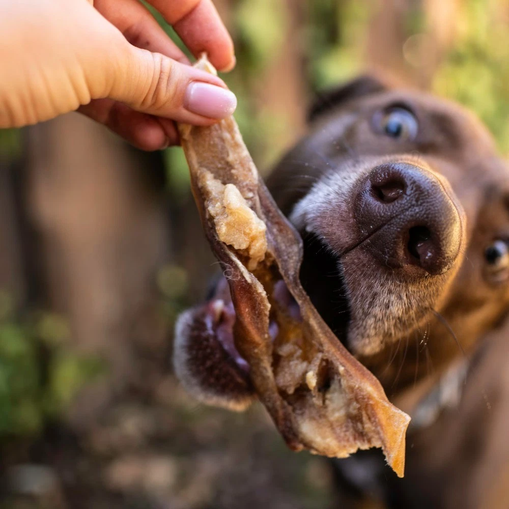 Natural Beef Flavor Chews for Dogs, 8 oz Bag - thumbnail 3