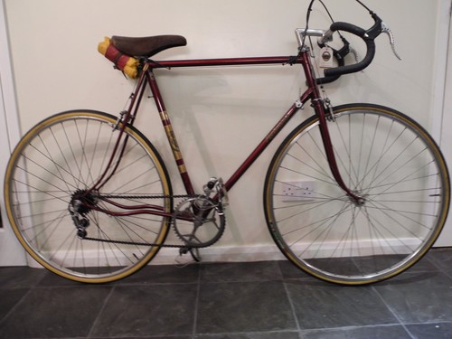 Curly Hetchins Vade Mecum, 24"