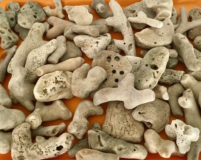 Coral Reef small dry coral Aquarium Natural Decor/Aquarium Rock #1