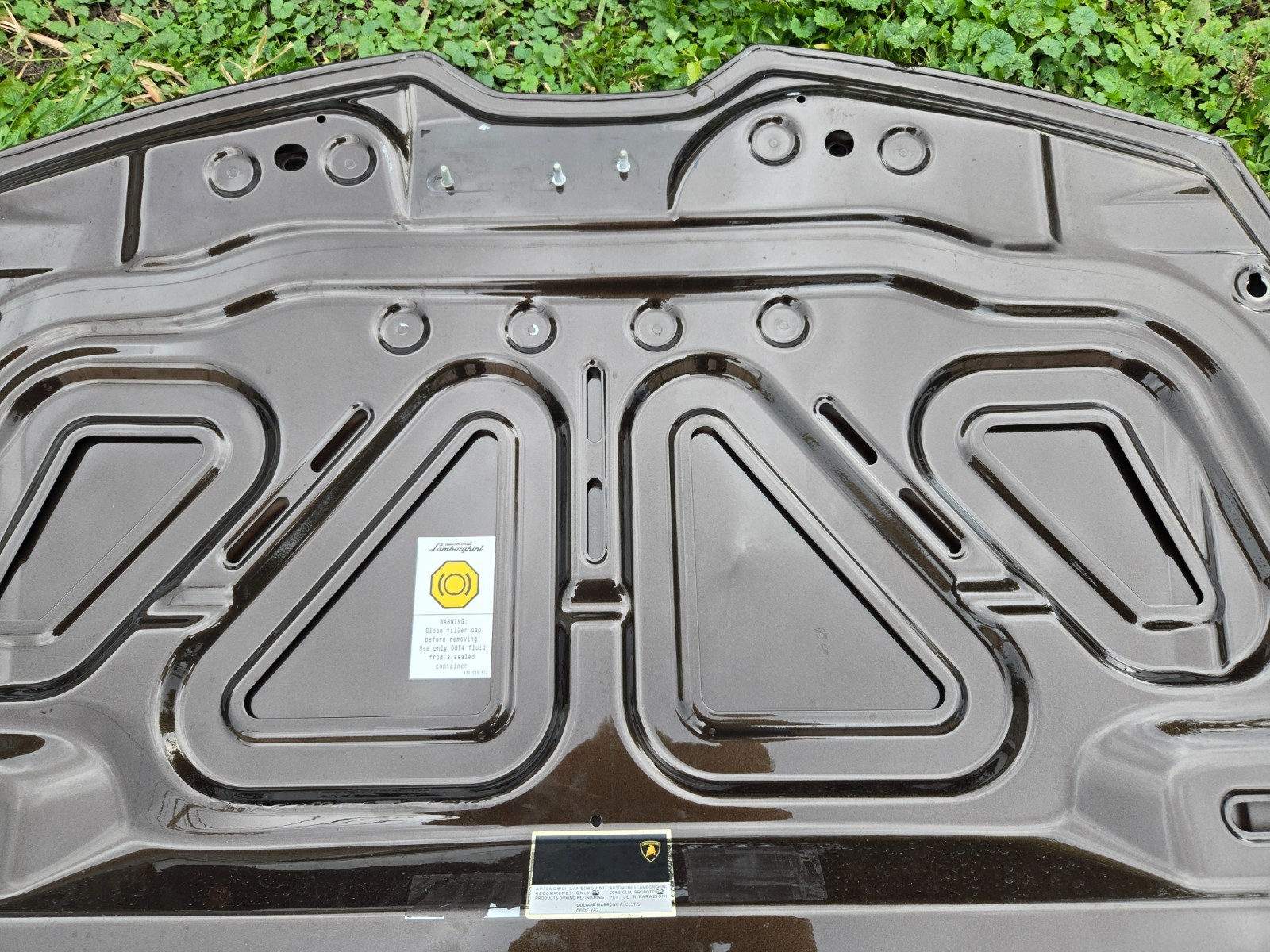 2015 - 2023 Lamborghini Huracan Front Hood Bonet Lid Panel 4T0823021C OEM