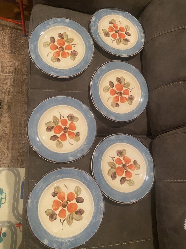 Sophie by Pier 1 Earthenware 10 3/8” Dinner Plate Made in Italy Blue With Flower